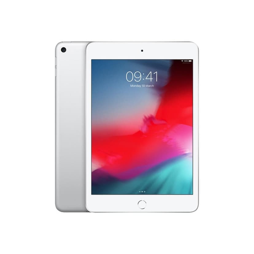 Apple iPad Mini 2019 5th Gen Wifi + Cellular | Free 12-month insurance